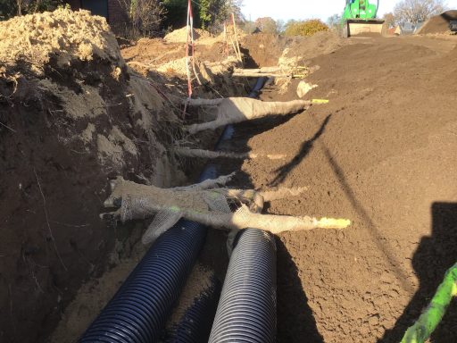 Baumwurzel schützen